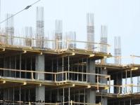 Imagine atasata: Vivalia Bulbuca - 2016.02.28 - 14.jpg